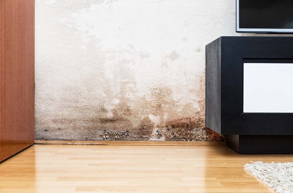 5 Tips for Stopping Damp Problems in Your Home